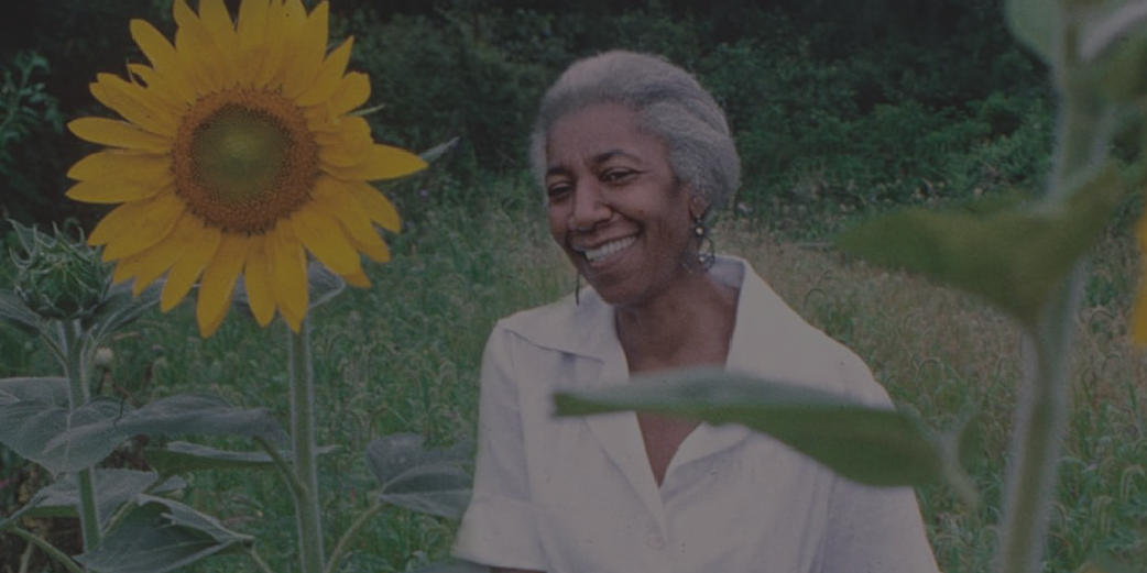 banner-Edna Regina Lewis